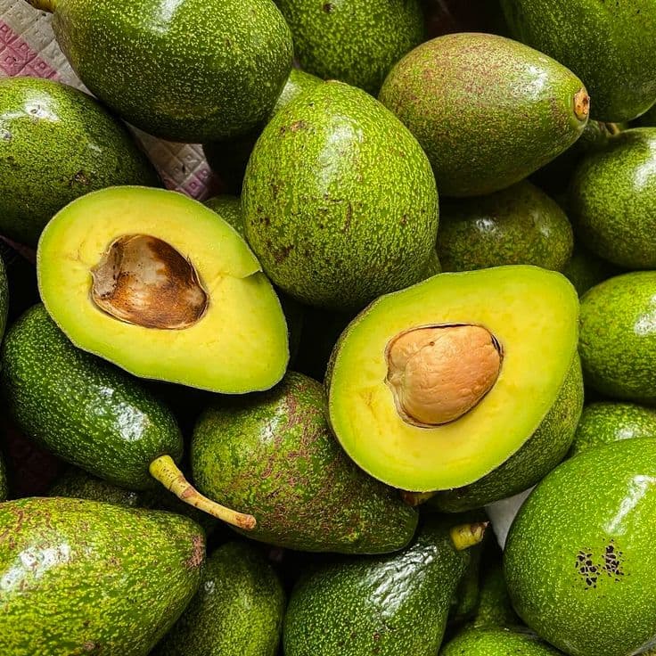 Avocado