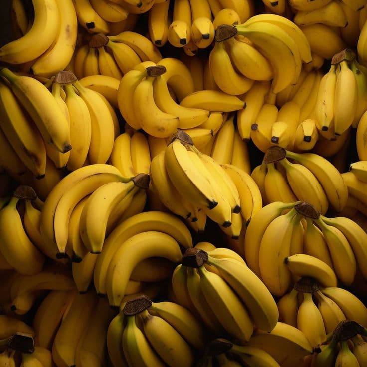 Organic Bananas