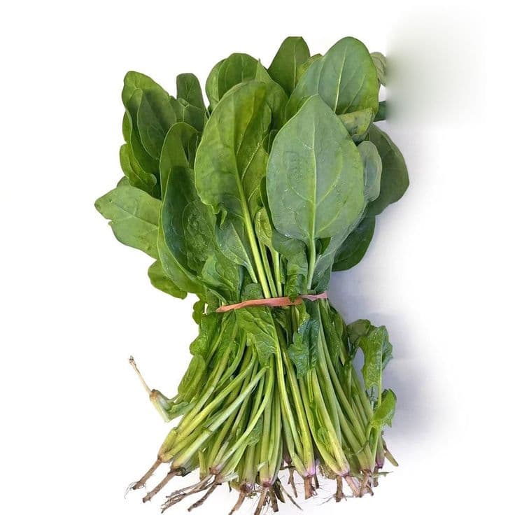 Spinach Bundle